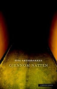 Gjennom natten