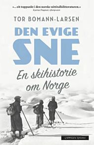 Den evige sne