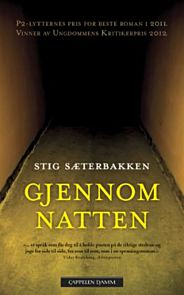 Gjennom natten