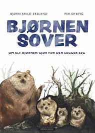 Bjørnen sover