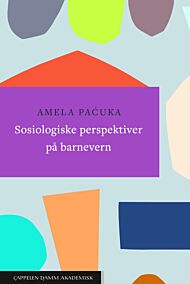 Sosiologiske perspektiver på barnevern