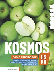 Kosmos HS, RM