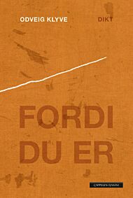 Fordi du er