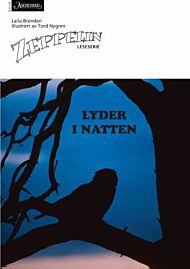 Lyder i natten