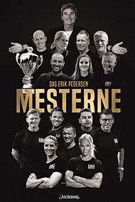 Mesterne