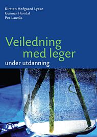 Veiledning med leger under utdanning