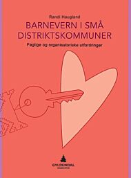 Barnevern i små distriktskommuner