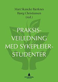 Praksisveiledning med sykepleiestudenter