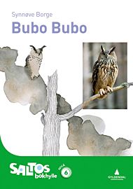 Bubo bubo