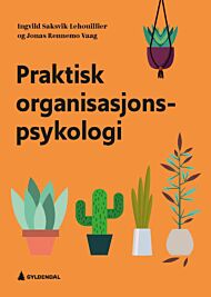 Praktisk organisasjonspsykologi