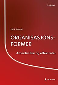 Organisasjonsformer