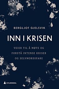 Inn i krisen