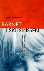 Barnet i skilsmissen