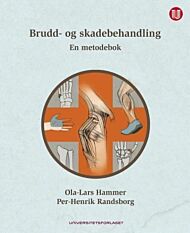 Brudd- og skadebehandling