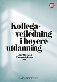 Kollegaveiledning i høyere utdanning