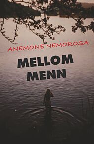 Mellom menn