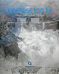 Eidefoss 100 år