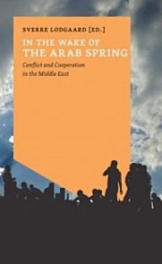 In the wake of the Arab spring