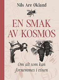 En smak av kosmos