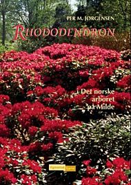 Rhododendron