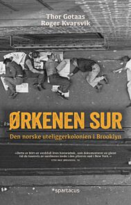 Ørkenen Sur