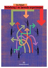Veiledning i en lærende organisasjon