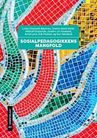 Sosialpedagogikkens mangfold