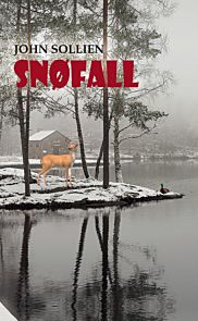 Snøfall