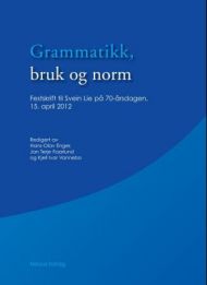 Grammatikk, bruk og norm