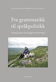 Fra grammatikk til språkpolitikk