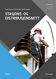 Stasjons- og distribusjonsnett