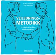 Veiledningsmetodikk