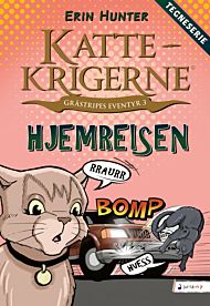 Hjemreisen