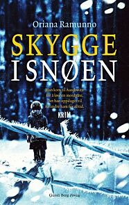 Skygge i snøen