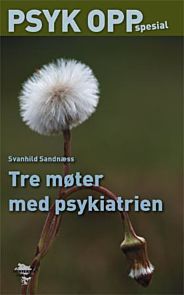 Tre møter med psykiatrien