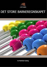 Det store barneregnskapet