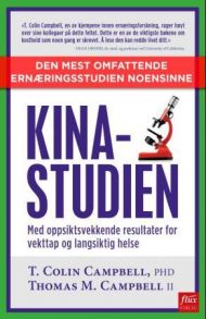 Kinastudien