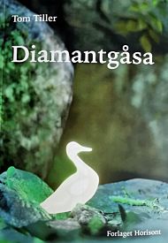 Diamantgåsa