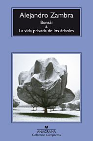 Bonsai & La vida de los arboles