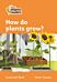 Level 4 ¿ How do plants grow?