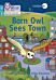 Barn Owl Sees Town