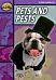 Rapid Reading: Pets and Pests (Stage 1, Level 1B)