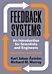 Feedback Systems