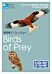 RSPB ID Spotlight - Birds of Prey