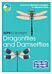 RSPB ID Spotlight - Dragonflies and Damselflies