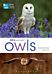 RSPB Spotlight Owls