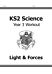 KS2 Science Year 3 Workout: Light & Forces