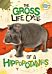 The Gross Life Cycle of a Hippopotamus