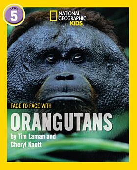 Face to Face with Orangutans