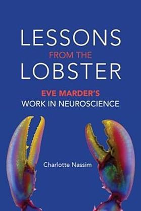 Lessons from the Lobster